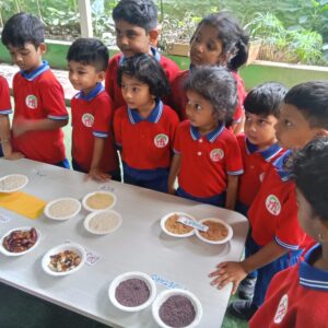 WhatsApp Image 2025-10-16 at 2.46.44 PM